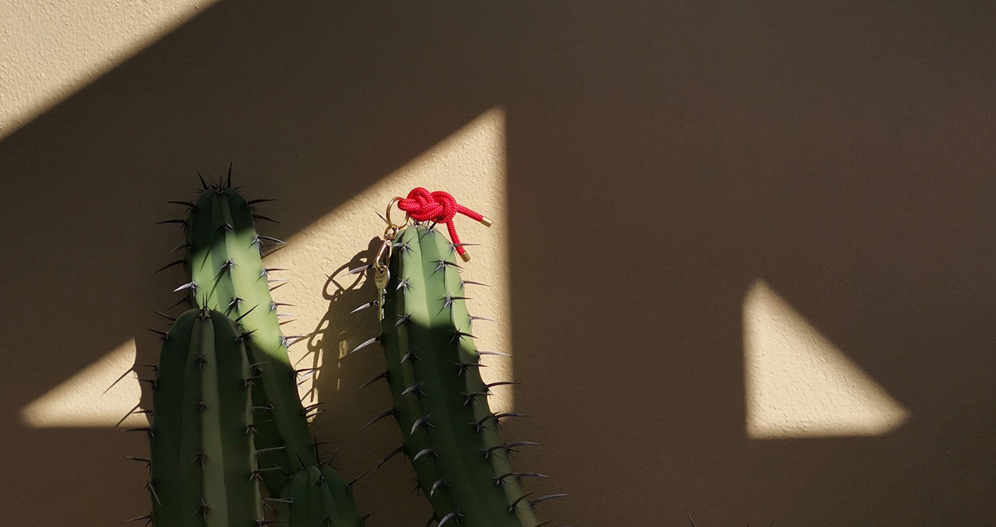 KNOK Knot Keyholder Keyring in red sitting on top of a cactus