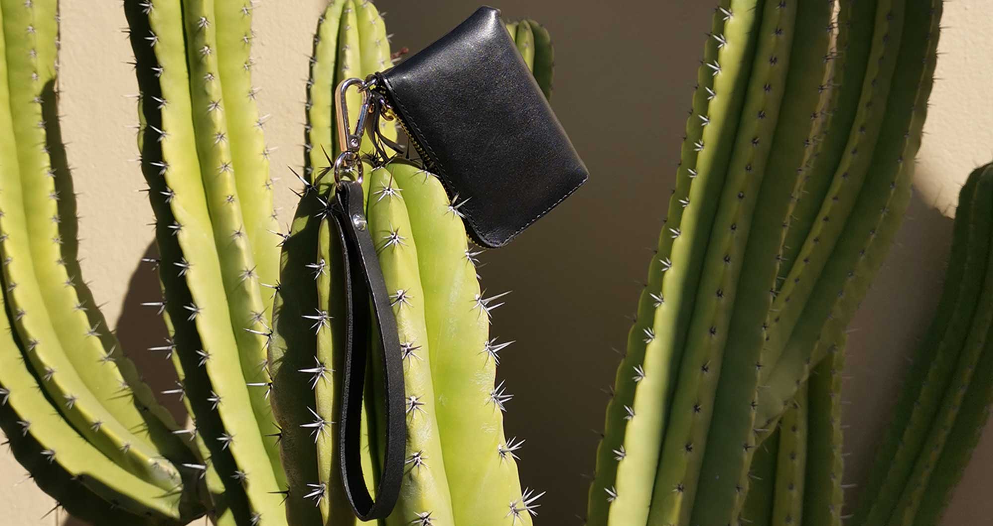 KNOK XS Wallet in black leather photographed on a cactus